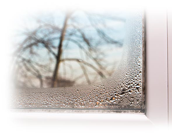 Schimmel und Sporen an einem Fenster